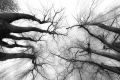 Bonnie-Pryce-Reaching-in