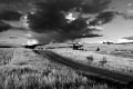 Road to Stormy Skies_Williams Linda