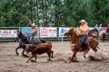 Team Roping, Dave Whiting