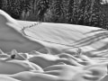 24 - Barb Klie - Winter Trail