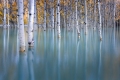 Bonnie-Pryce-Immersed-in-Blue