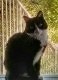 Lindley Roff - MoJo In Window