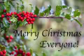 Lyn-Riley-6-Merry-Christmas