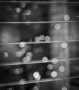 Tracey-Mourre-Christmas-Tree-window-reflection