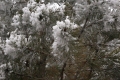 BRYAN-HUNT-4-Frozen-water-or-frost