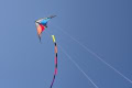 Dave-Whiting-Kite-Flying-2