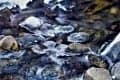 Tranquille Creeks Winter Ice_Greg Soloway (25)