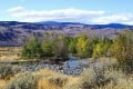 Bob McCuaig - Tranquille Grasslands