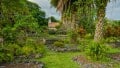 Brian Mitchell - English Country Garden in Hana