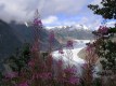 Cindy Hamilton - Salmon Glacier