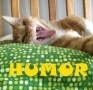 @HUMOR