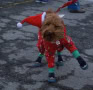 Valerie-Walsh-10Parade