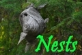 @Nests