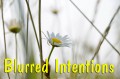 @Crystal-Fennell-Blurred-Intentions @Crystal-Fennell-Blurred-Intentions