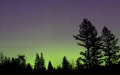 Linda-Williams-Lighting-Up-the-Sky