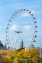 George-Wycherley-1-London-Eye