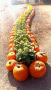 Christine-Overland-Pumpkin-Garden_ Christine-Overland-Pumpkin-Garden_