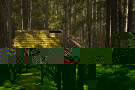 Tracey-Mourre-Old-Cabin