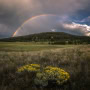 Bonnie-Pryce-Rainbow