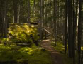 Tracey-Mourre-Old-Cabin