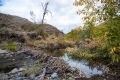1_Dave-Whiting-Beaver-Pond