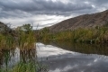 Dave-Whiting-Beaver-Pond
